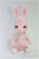 画像4: cocoriang/Tobi~SAKURA Limited~ I-25-10-19-262-KD-ZI (4)
