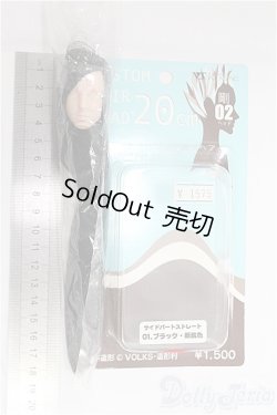 画像2: ボークス/カスタムヘアーヘッド2点セット(剛ヘッド)　 I-25-11-09-128-KD-ZI