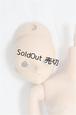 画像1: ボークス/1/6ボディ（ドルフィープラス） I-25-11-09-120-KD-ZI