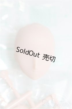 画像1: ボークス/1/6ボディ（ニューエクセレントベースモデル） I-25-11-09-119-KD-ZI