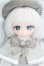画像1: tinyfox/雪の子フラーリィ1/6  I-25-10-26-350-KD-ZI (1)