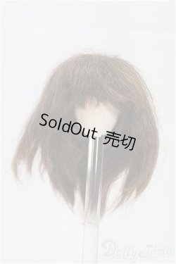 画像1: 3.5inch-4inch/ウィッグ/インチ　BJD　MJD　ドール用 I-25-11-02-192-KD-ZI