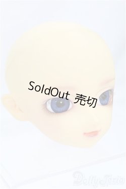 画像3: SD/F-13ヘッド/BJD 球体関節人形 I-25-10-26-305-KD-ZI