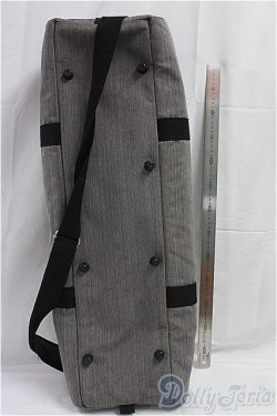 画像2: SD/ドルフィー用キャリングケース/0 I-25-10-26-303-KD-ZI