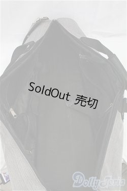 画像3: SD/ドルフィー用キャリングケース/0 I-25-10-26-303-KD-ZI