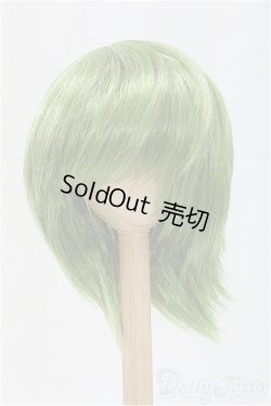 画像1: 9-10inch/ウィッグ/インチ　BJD　MJD　ドール用 I-25-11-02-079-KD-ZI