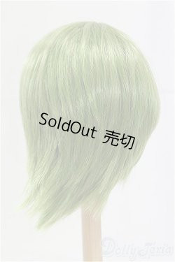 画像2: 9-10inch/ウィッグ/インチ　BJD　MJD　ドール用 I-25-11-02-079-KD-ZI