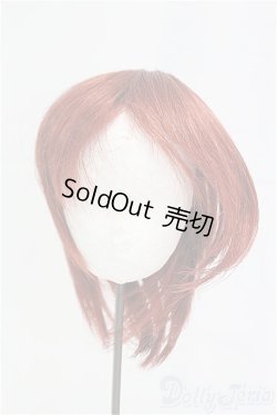 画像1: 8-8.5inch/ウィッグ/インチ　BJD　MJD　ドール用 I-25-11-02-133-KD-ZI