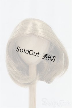 画像1: 9-10inch/ウィッグ/インチ　BJD　MJD　ドール用 I-25-11-23-022-KD-ZI