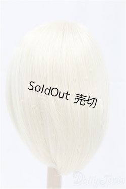 画像2: 9-10inch/ウィッグ/インチ　BJD　MJD　ドール用 I-25-11-23-024-KD-ZI