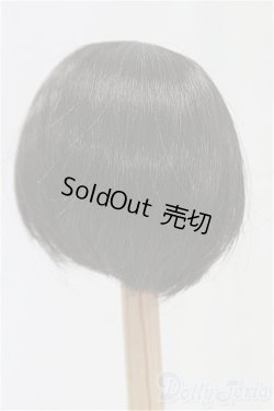 画像2: 9-10inch/ウィッグ/インチ　BJD　MJD　ドール用 I-25-11-23-034-KD-ZI