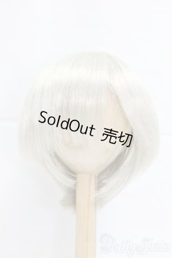 画像1: 9-10inch/ウィッグ/インチ　BJD　MJD　ドール用 I-25-12-21-058-KD-ZI