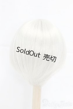 画像2: 9-10inch/ウィッグ/インチ　BJD　MJD　ドール用 I-25-12-21-058-KD-ZI