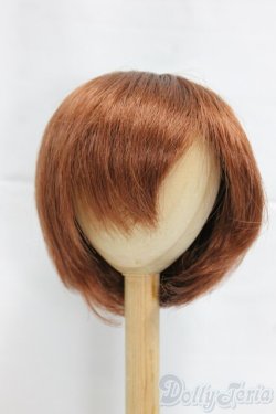 画像1: 9-10inch/ウィッグ/インチ　BJD　MJD　ドール用 I-25-12-21-059-KD-ZI