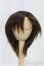 画像1: 7-8inch/ウィッグ/インチ　BJD　MJD　ドール用 I-25-11-02-137-KD-ZI (1)