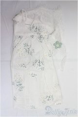 DD/OF:ワンピース/0 I-25-11-02-165-KD-ZI