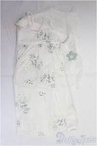 DD/OF:ワンピース/0 I-25-11-02-165-KD-ZI