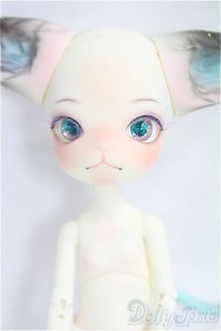 DOLL ZONE/Mini Kitty/BJD　球体関節人形 I-25-10-26-315-KD-ZI