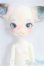 画像1: DOLL ZONE/Mini Kitty/BJD 球体関節人形 I-25-10-26-315-KD-ZI (1)