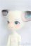 画像2: DOLL ZONE/Mini Kitty/BJD 球体関節人形 I-25-10-26-315-KD-ZI (2)