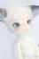 画像3: DOLL ZONE/Mini Kitty/BJD 球体関節人形 I-25-10-26-315-KD-ZI (3)