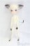 画像4: DOLL ZONE/Mini Kitty/BJD 球体関節人形 I-25-10-26-315-KD-ZI (4)