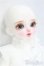 画像4: Dollsn /1/6/Hina Orange ver. /BJD 球体関節人形 I-25-10-26-310-KD-ZI (4)