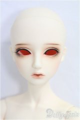 LitteMonica/1/4/ Bear：ノーマルスキン/BJD　球体関節人形 I-25-10-26-311-KD-ZI