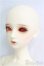 画像2: LitteMonica/1/4/ Bear:ノーマルスキン/BJD 球体関節人形 I-25-10-26-311-KD-ZI (2)