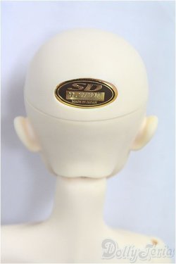 画像4: SDB/ミシェル 星間学寮Ver./BJD　球体関節人形 I-25-11-02-304-KD-ZI