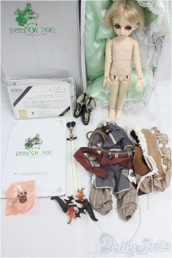 画像9: Gem of Doll/1/6/Toby,Oolong tea (托比)/BJD　球体関節人形 I-25-11-02-307-KD-ZI