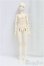 画像5: Gem of Doll/1/4/Wall/BJD　球体関節人形 I-25-11-02-306-KD-ZI (5)