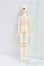 画像6: Gem of Doll/1/4/Wall/BJD　球体関節人形 I-25-11-02-306-KD-ZI (6)