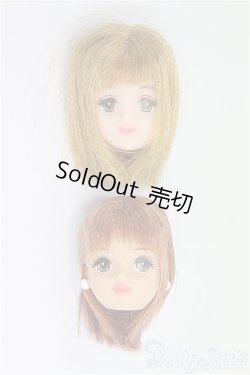 画像1: ジェニーフレンド/ヘッドのみ2点（エリーゼ・たまき）/BJD　球体関節人形 I-25-11-02-282-KD-ZI