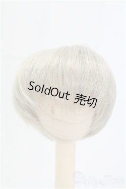 画像1: 7-7.5inch/ウィッグ/インチ　BJD　MJD　ドール用 I-25-11-02-266-KD-ZI
