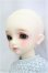 画像3: SDM女の子/コーディネートモデルF-50/BJD　球体関節人形 I-25-11-02-309-KD-ZI (3)