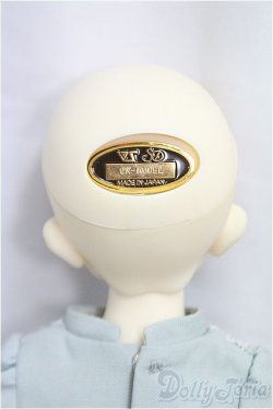 画像5: SDM女の子/コーディネートモデルF-50/BJD　球体関節人形 I-25-11-02-309-KD-ZI