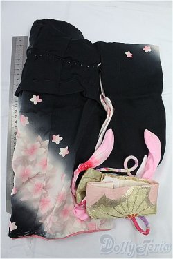 画像2: SDM＆MSD/OF:着物セット I-25-11-09-096-KD-ZI