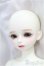 画像9: MyouDoll/1/4/Zuzana/BJD　球体関節人形 I-25-11-09-303-KD-ZI (9)