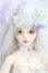 画像1: ringdoll/alice01/BJD　球体関節人形 I-25-11-09-310-KD-ZI (1)