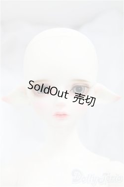 画像6: LUTS Kid45 Delf RASPBERRY Elf ver./BJD　球体関節人形 I-25-11-09-305-KD-ZI