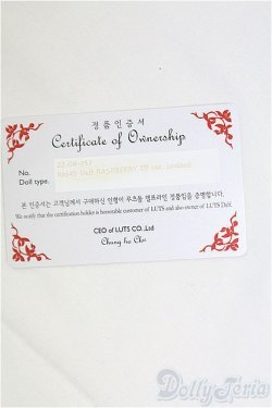 画像9: LUTS Kid45 Delf RASPBERRY Elf ver./BJD　球体関節人形 I-25-11-09-305-KD-ZI