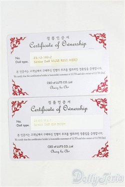 画像9: LUTS/REMIヘッド+Girl body/BJD　球体関節人形 I-25-11-09-308-KD-ZI