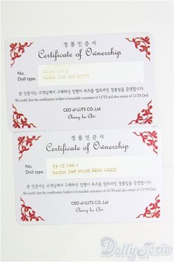 画像10: LUTS/REMIヘッド+Girl body/BJD　球体関節人形 I-25-11-09-307-KD-ZI