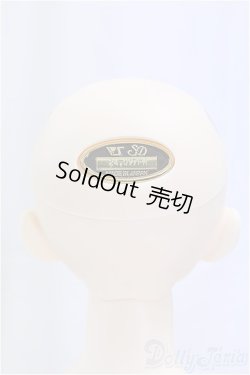 画像4: SDGrBOY/フルチョイス：F-85/BJD　球体関節人形 I-25-11-09-257-KD-ZI