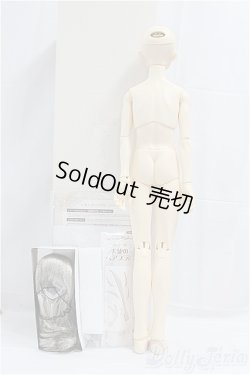 画像6: SDGrBOY/フルチョイス：F-85/BJD　球体関節人形 I-25-11-09-257-KD-ZI