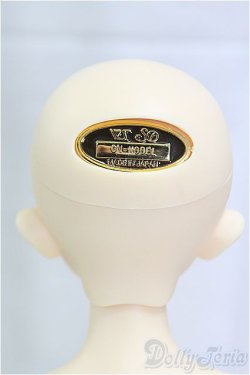 画像4: SDMGIRL/コーディネイトモデル：F-48/BJD　球体関節人形 I-25-11-09-256-KD-ZI