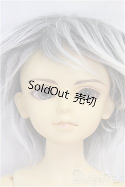 画像1: MSD男の子/フルチョイス:F-09/BJD　球体関節人形 I-25-11-09-259-KD-ZI