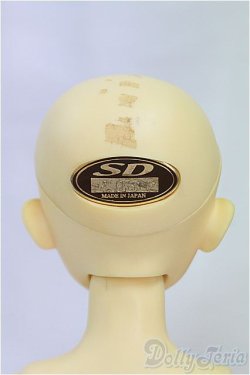 画像4: MSD男の子/フルチョイス:F-09/BJD　球体関節人形 I-25-11-09-259-KD-ZI