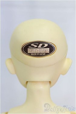 画像4: MSD女の子/フルチョイス:F-09/BJD　球体関節人形 I-25-11-09-260-KD-ZI